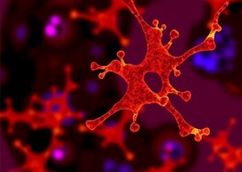 Study reveals clonal diversity among CCR8-positive regulatory T cells in human cancer
