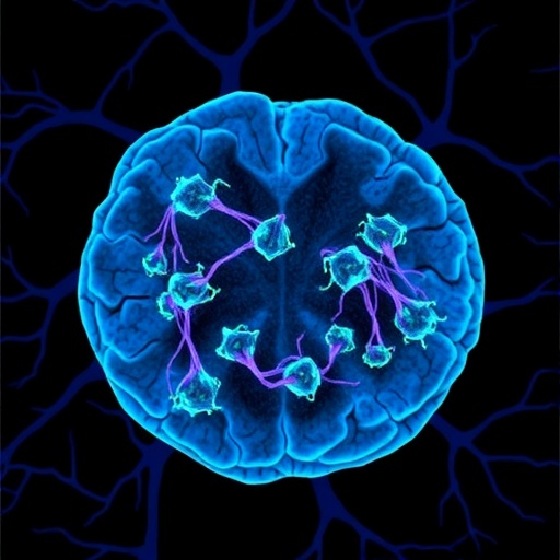 Study reveals how tumors recruit nerves to sustain their growth
