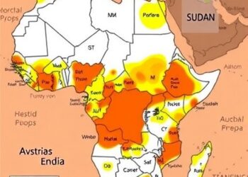 Survey-Based Model Reveals How Preparedness Constraints Shape Cholera Transmission in Sudan