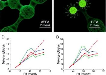 Targeted Alpha-Synuclein Degradation Blocks PFF-Induced Aggregation