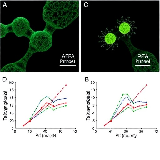 Targeted Alpha-Synuclein Degradation Blocks PFF-Induced Aggregation