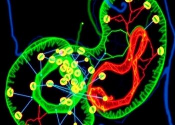Targeting Autophagy May Overcome Cisplatin Resistance in Gastric Cancer