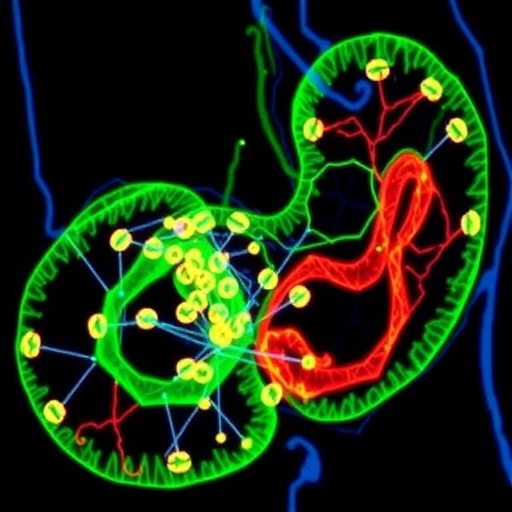Targeting Autophagy May Overcome Cisplatin Resistance in Gastric Cancer