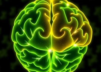 Telomere shortening links dioxin-like PCB exposure to children’s cognitive decline