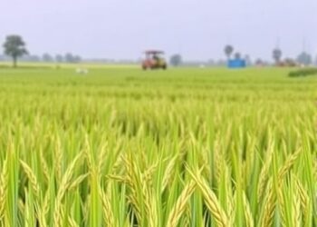 Temperature drives quality loss and fungal shifts in stored paddy rice