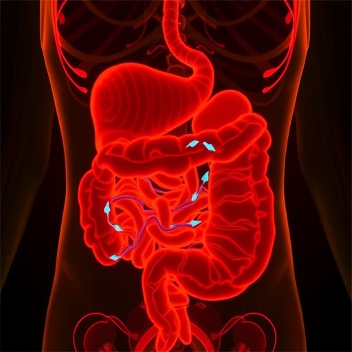 TNFR1 Connects Inflammation, Fatty Acid Oxidation Failure to Intestinal Stem Cell Aging