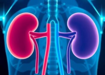 Toward Shared Decision-Making for Kidney Xenotransplantation