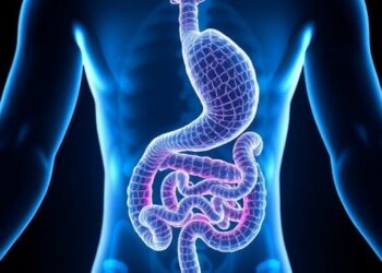 Turning Agro-Waste into Xylan Prebiotics Could Boost Gut Health