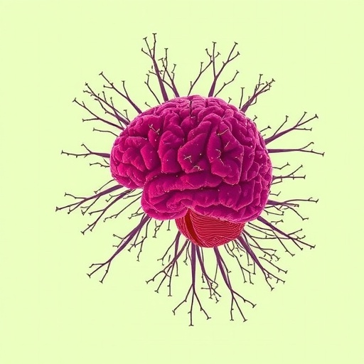 TWAS finds shared ageing-related gene expression patterns, quantitatively differing in treatment-resistant schizophrenia