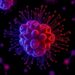 Two Decades of Induced Pluripotent Stem Cells: From Pluripotency to Reprogramming