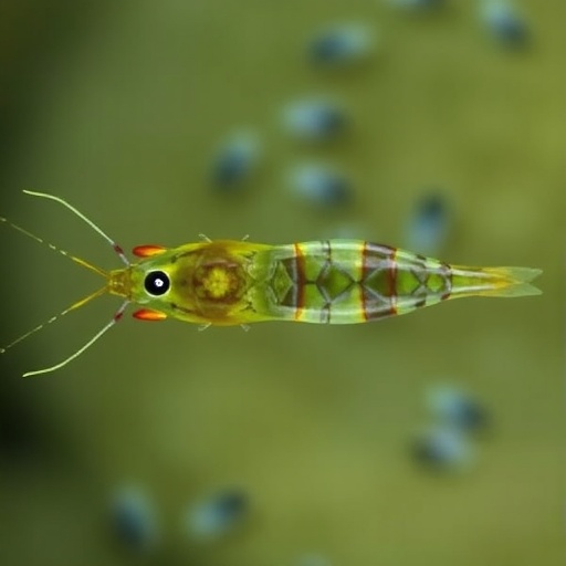 Two New Eyeless Shrimp-Like Species Discovered in Japan’s Groundwater