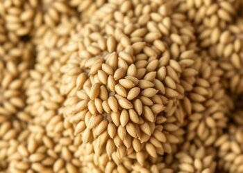 Two-step process turns hempseed oil pomace into enzymes and hydrochar