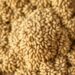 Two-step process turns hempseed oil pomace into enzymes and hydrochar
