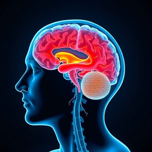 UK study reveals stroke causes and risk factors in young adults