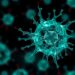 Unconventional T Cells Offer New Hope Against Urological Cancers