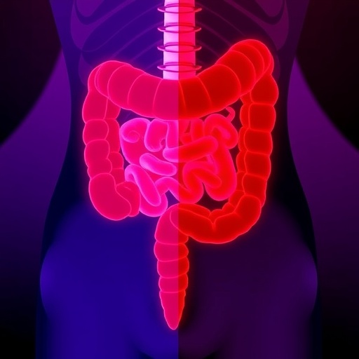 Unequal colonoscopy follow-up and precancer detection after positive stool blood test