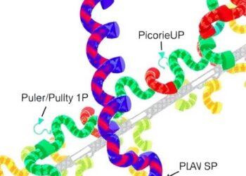 Universal Pipeline Enables High-Resolution GPCR Structure Determination