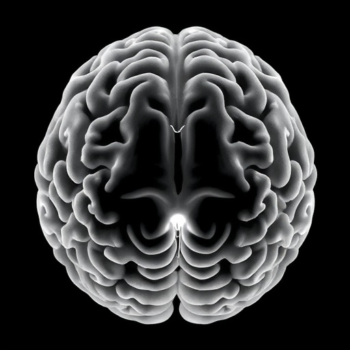 USC research shows gray and white matter jointly support older adults’ cognition