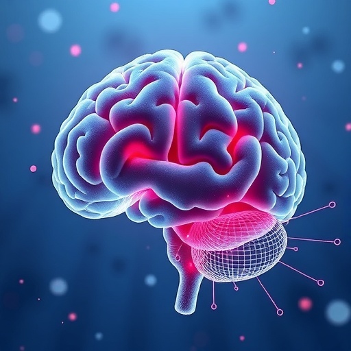 Visceral Fat Metabolism Linked to Brain Network Dysfunction, Cognitive Impairment in Alzheimer’s