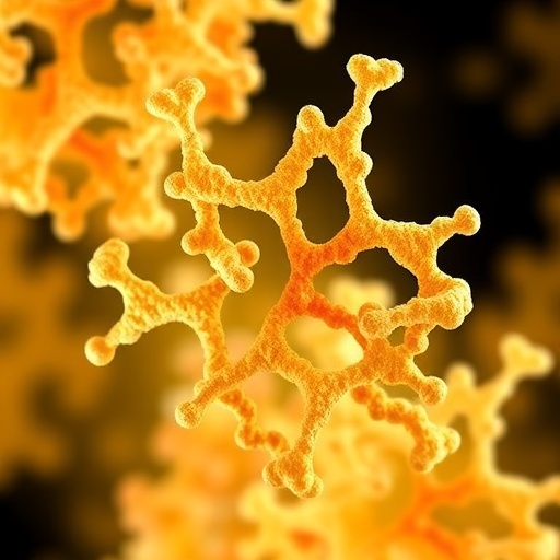 VITAL predicts peptide–protein interactions quantitatively while accounting for molecular interfaces