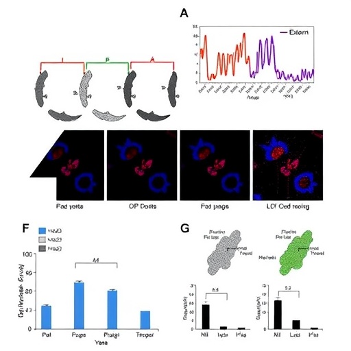 Voluntary Attention Modulates Acute Immune Responses in Humans