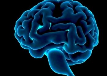 Washington Study Identifies Barriers and Supports for Neurodevelopmental Follow-Up in At-Risk Newborns