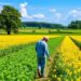 What Drives Farmers to Join the U.S. Conservation Reserve Program?
