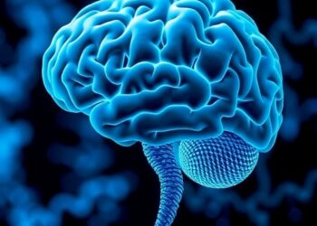 White Matter Disorders Link Transcription, RNA Processing, and Translation