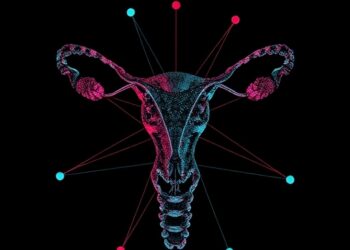 A framework linking polygenic risk to precision gynecological disease models