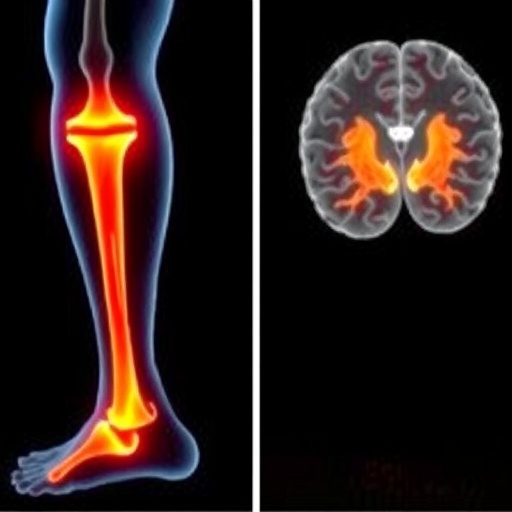 ACL Injury Alters Brain’s Movement Control, Scoping Review Finds