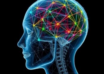 Adam Optimizer’s Neural Network Training Regimes Mapped Through Observable Measurements