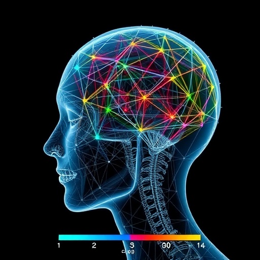 Adam Optimizer’s Neural Network Training Regimes Mapped Through Observable Measurements