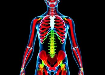 AI Advances Body Composition Analysis from Pixels to Prediction