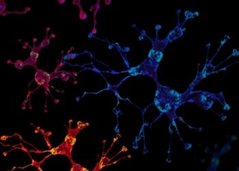 Altered lncRNA profiles in breast cancer NK cells impair immune function