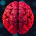 APOE and neuromelanin shape Alzheimer’s risk in human brain’s stress hub