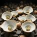 Asian clam mesocosm study quantifies heavy metal bioaccumulation levels