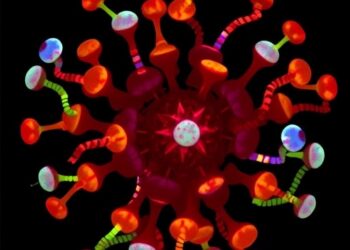 B-cell profiles reveal clinical differences in childhood-onset lupus patients