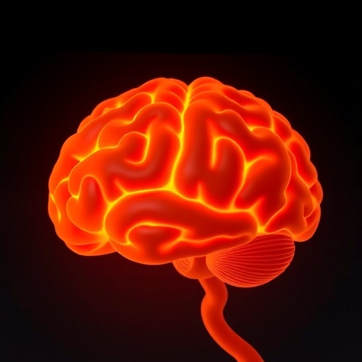 Brain uroguanylin and brown fat play distinct roles by sex