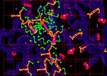 Chromatin hub mapping reveals Id proteins drive exhausted CD8+ T cell fate