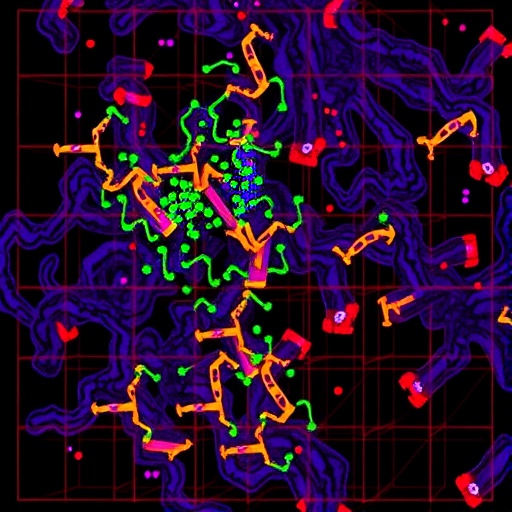 Chromatin hub mapping reveals Id proteins drive exhausted CD8+ T cell fate
