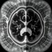 Deep learning enables task-specific multi-contrast medical image visualization