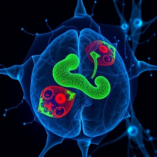Deep learning identifies cell death types in ischemia reperfusion injury