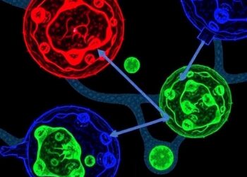 Depleting CCR8+ Treg cells restores dendritic cell function against tumors