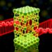 DFT study of proton transfer and hydrogen bonding in PVA/citric acid membranes