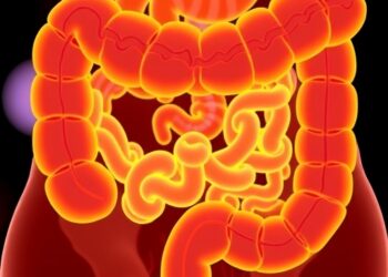 DHA eases colitis by rebalancing gut microbes and repairing the gut barrier