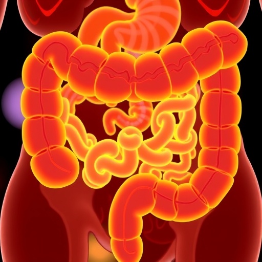 DHA eases colitis by rebalancing gut microbes and repairing the gut barrier