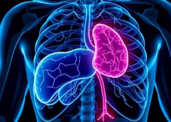 Disitamab vedotin shows phase 3 benefit in HER2-positive breast cancer liver metastases