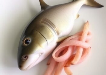 DNA tests reveal true species in WA fish and chip shark fillets
