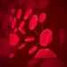 Dried blood spots reliably quantify HBV DNA and detect HBeAg