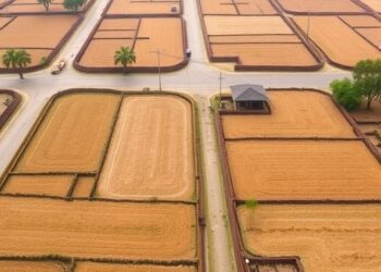 Drought spreads from weather to farms across China, driven by key factors